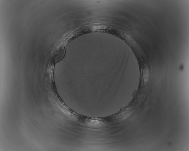 X0000115480475200912040957