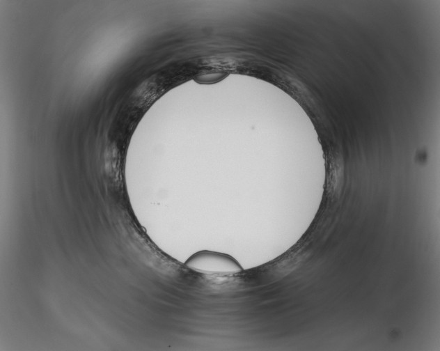 X0000115480477200912040957