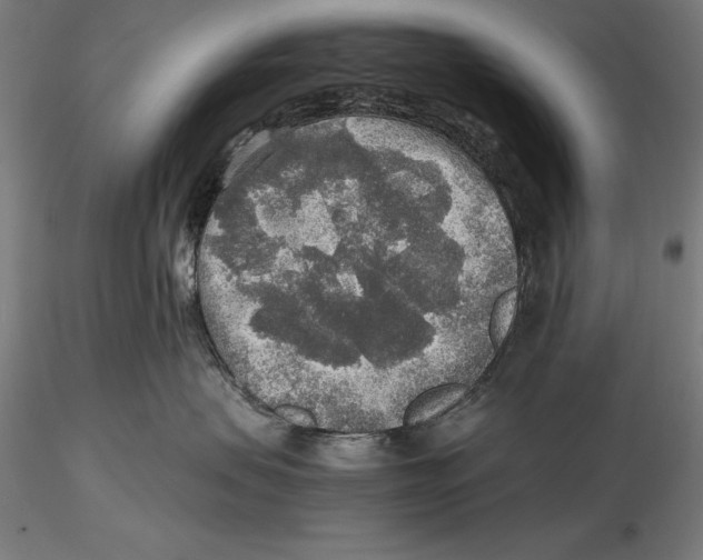 X0000115480479200912040957