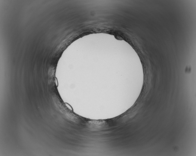 X0000115480480200912040957