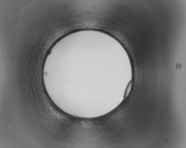X0000115480481200912040956