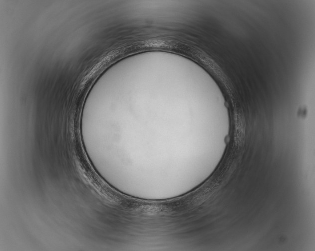 X0000115480482200912040956