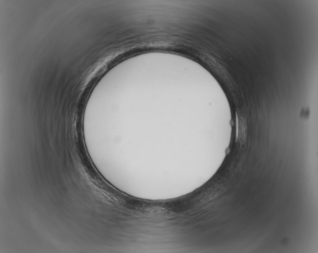 X0000115480483200912040956