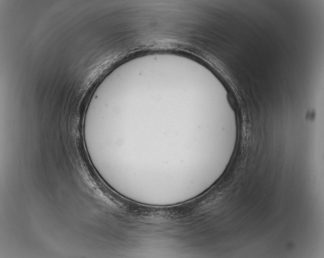X0000115480485200912040956