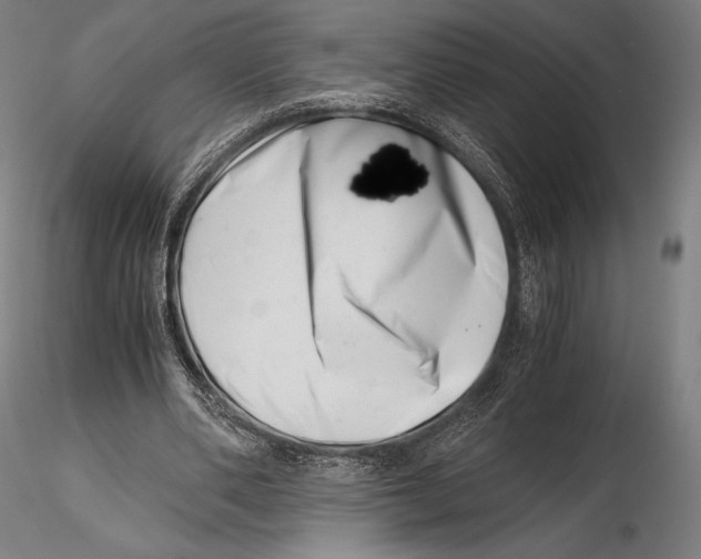 X0000115480486200912040956
