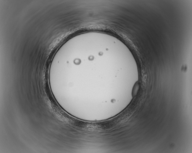 X0000115480487200912040956