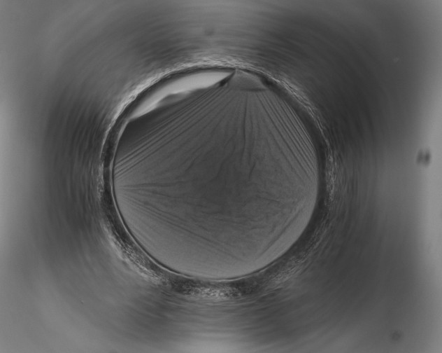 X0000115480488200912040956