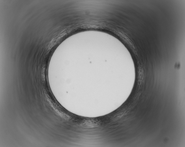 X0000115480489200912040956