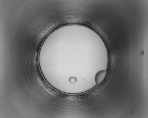 X0000115480490200912040956