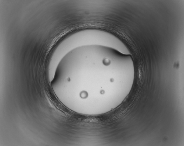 X0000115480492200912040956