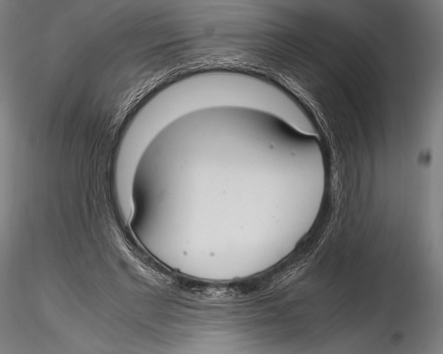 X0000115480493200912040956