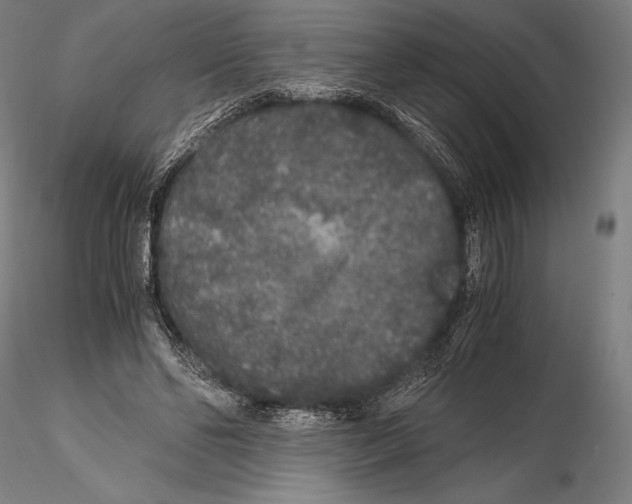 X0000115480494200912040956
