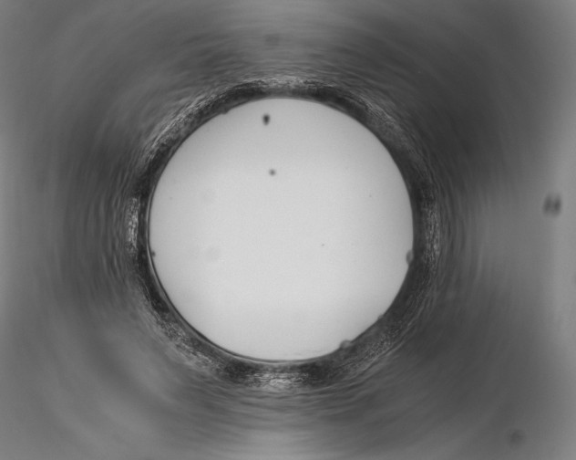 X0000115480495200912040956