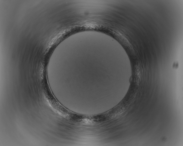 X0000115480496200912040956