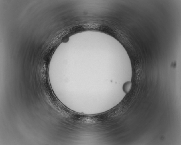 X0000115480498200912040956
