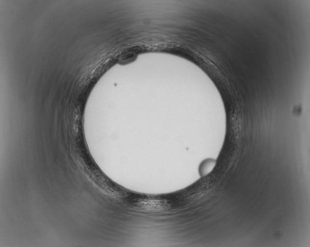 X0000115480499200912040956