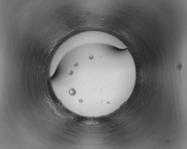 X0000115480500200912040956