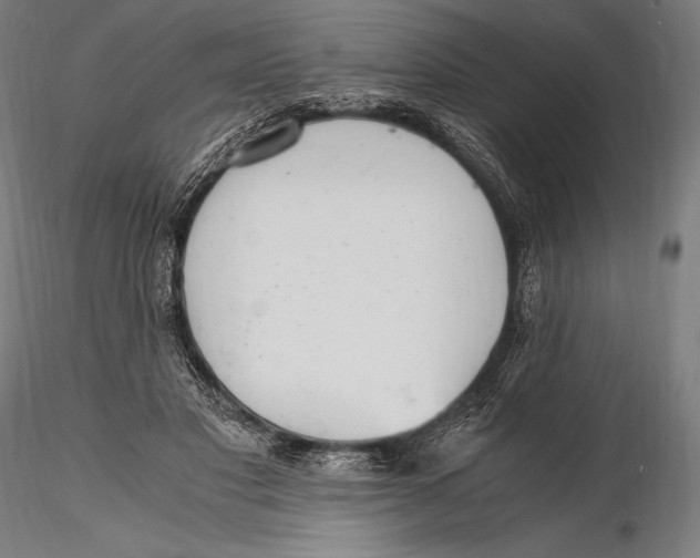 X0000115480501200912040956