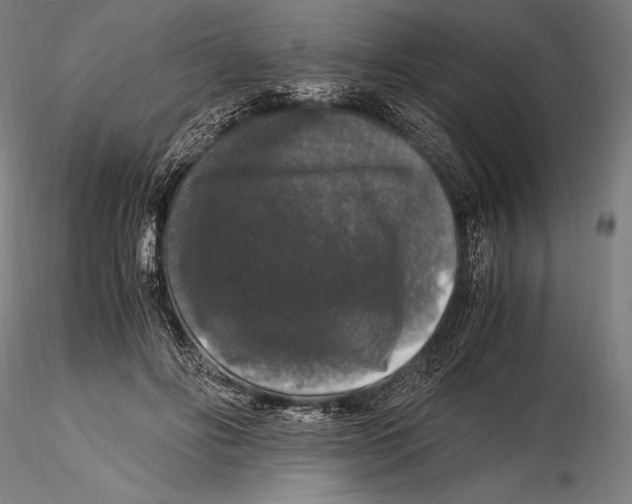 X0000115480502200912040956