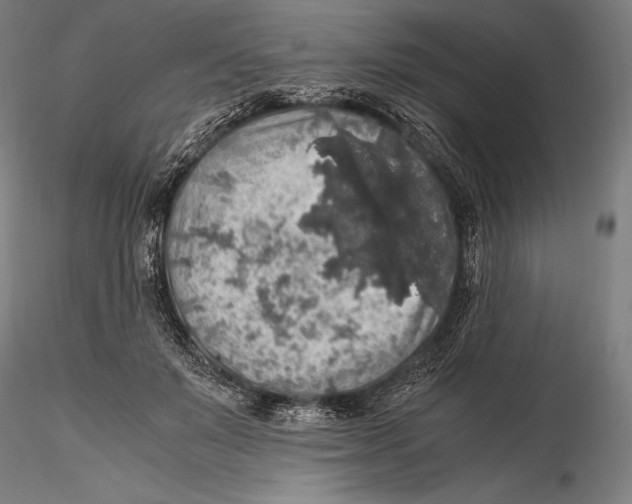 X0000115480503200912040956