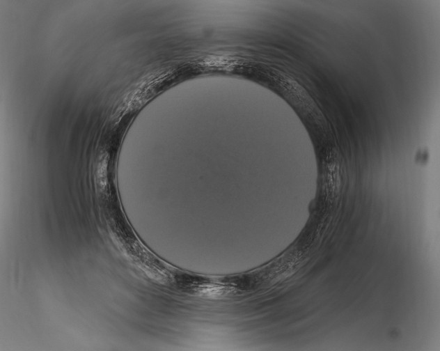 X0000115480504200912040956