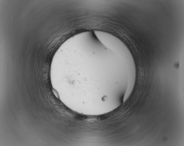 X0000115480505200912040956