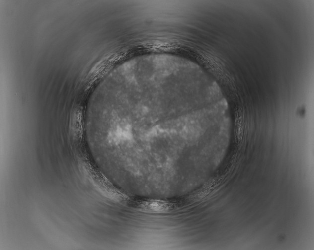 X0000115480506200912040956