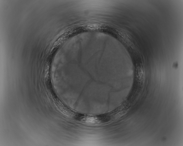 X0000115480507200912040956
