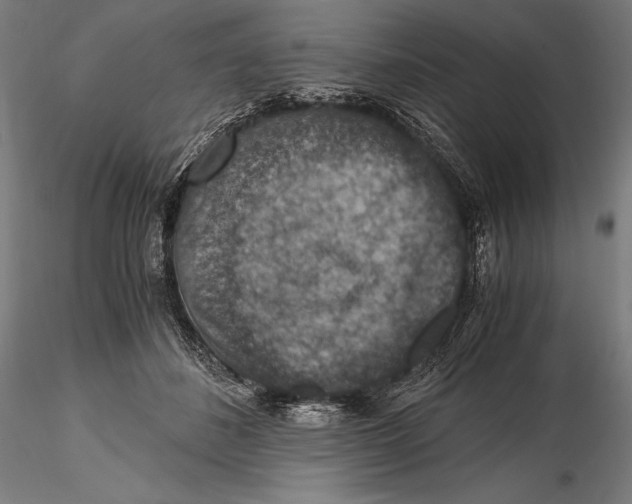 X0000115480508200912040956