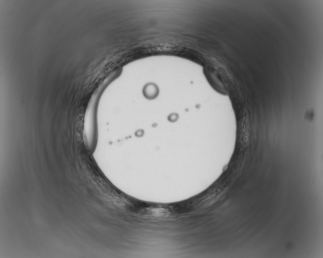 X0000115480509200912040956