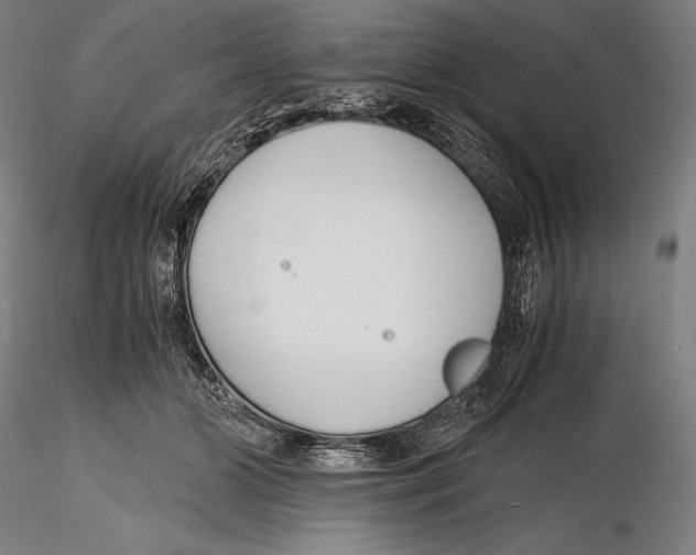 X0000115480510200912040956