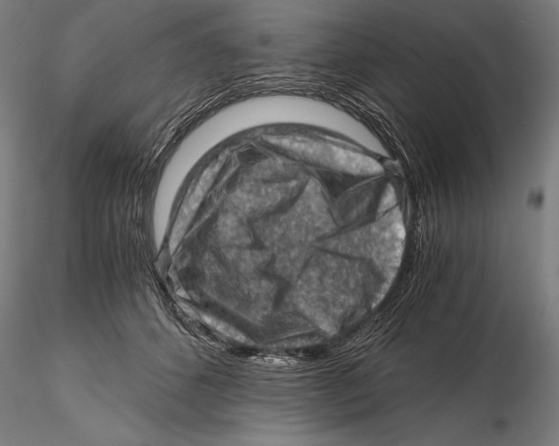 X0000115480512200912040956