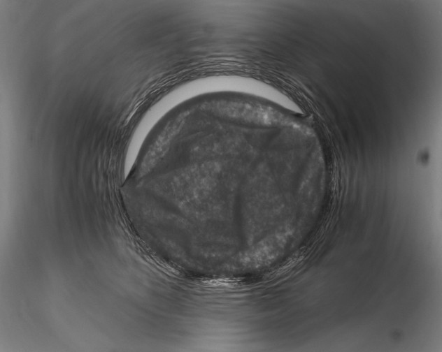 X0000115480516200912040956