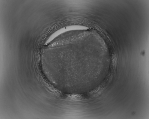 X0000115480517200912040956