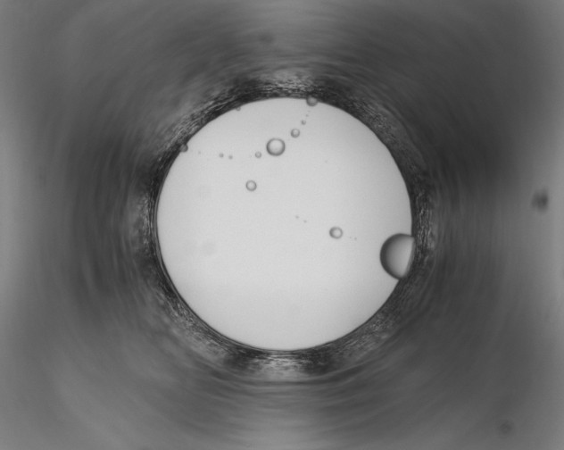 X0000115480518200912040955