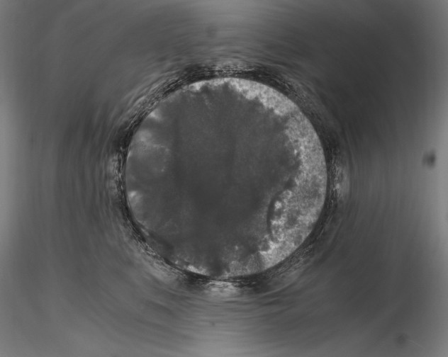 X0000115480519200912040955
