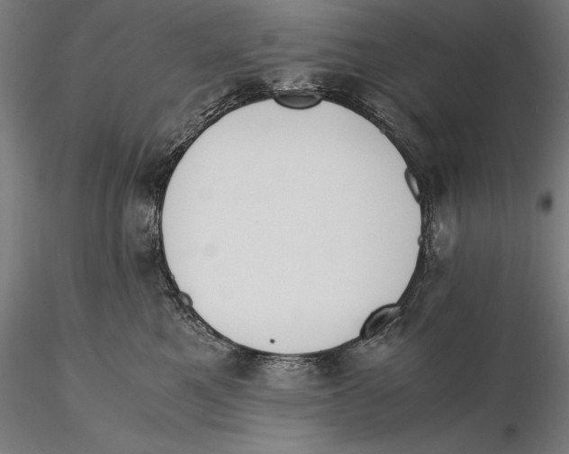 X0000115480521200912040955