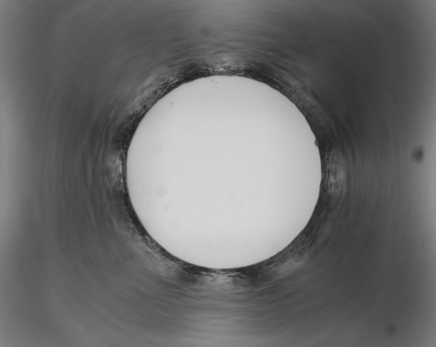 X0000115480523200912040955
