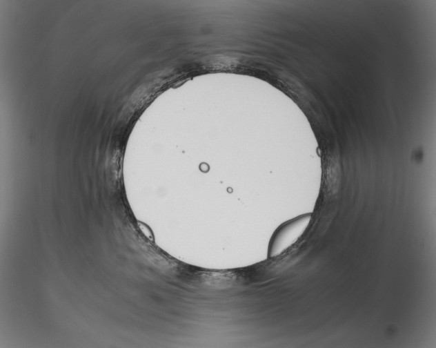 X0000115480525200912040955