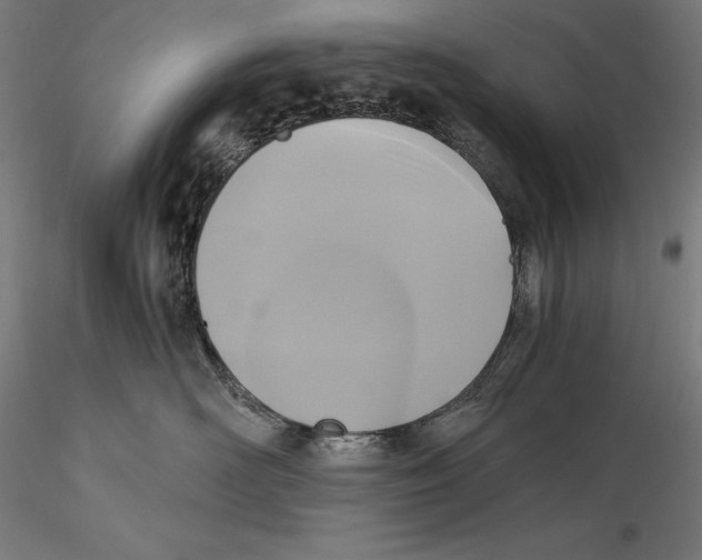X0000115480526200912040955