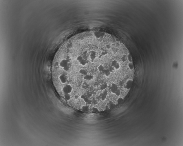 X0000115480527200912040955