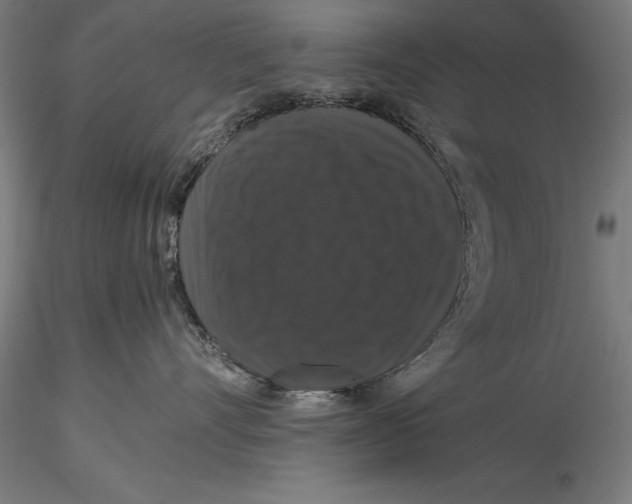 X0000115480528200912040955