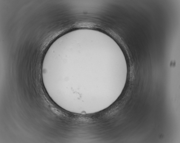 X0000115480529200912040955