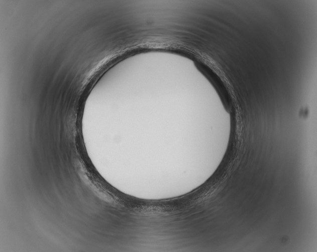 X0000115480530200912040955
