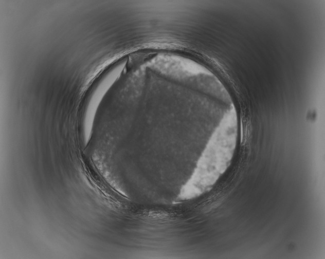 X0000115480531200912040955