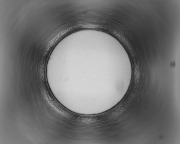 X0000115480533200912040955