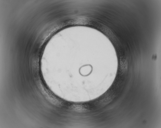 X0000115480534200912040955
