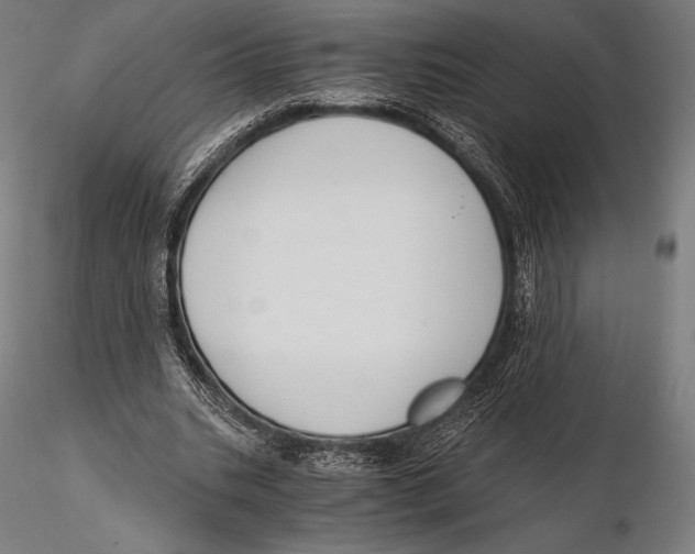 X0000115480535200912040955
