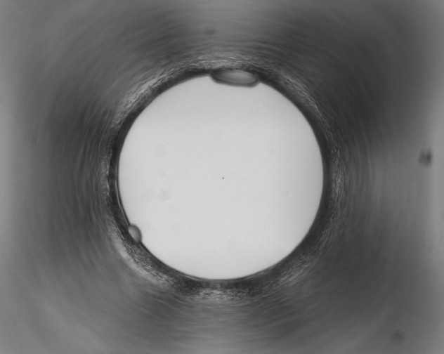 X0000115480538200912040955