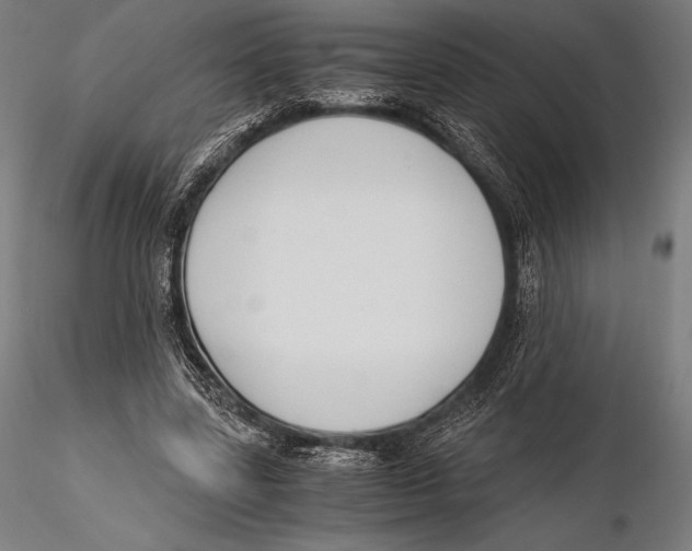 X0000115480539200912040955